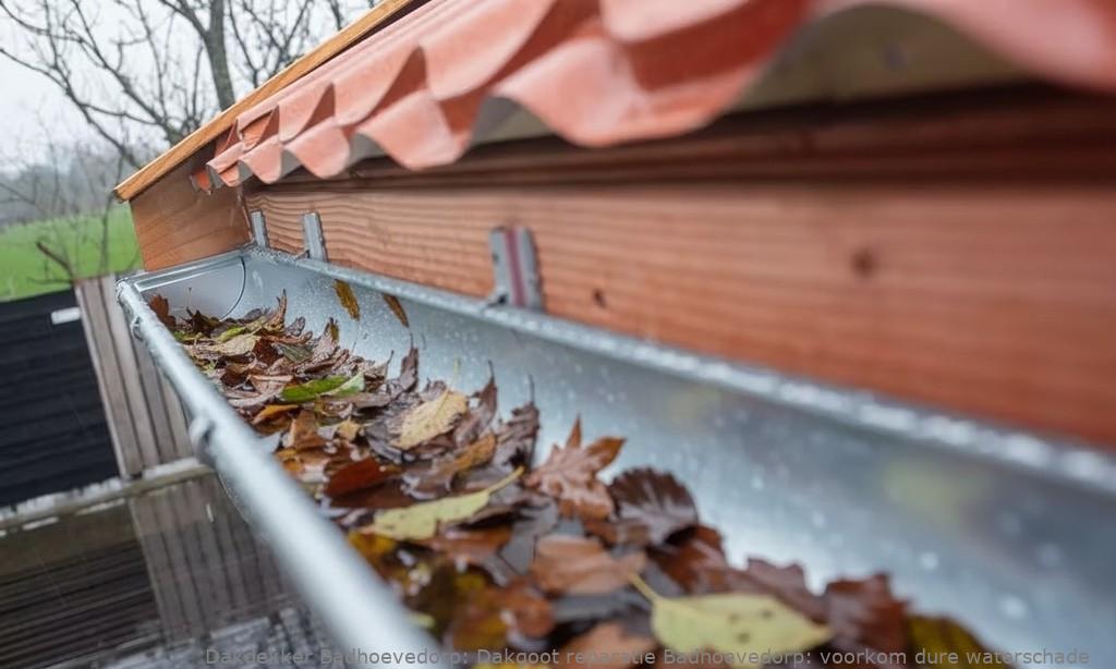 Dakgoot Reparatie Badhoevedorp 1