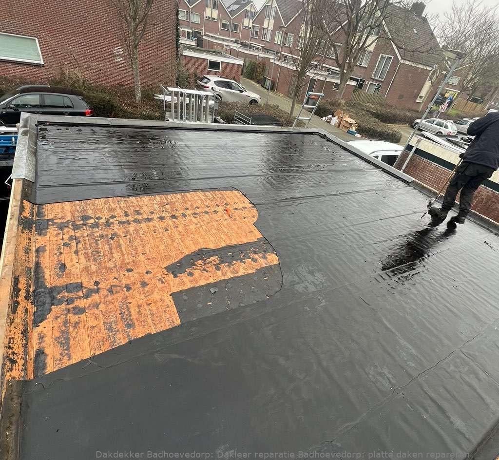 Dakleer Reparatie Badhoevedorp