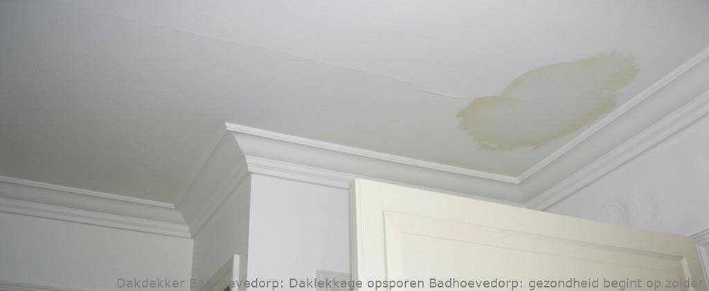 Daklekkage Opsporen Badhoevedorp 1