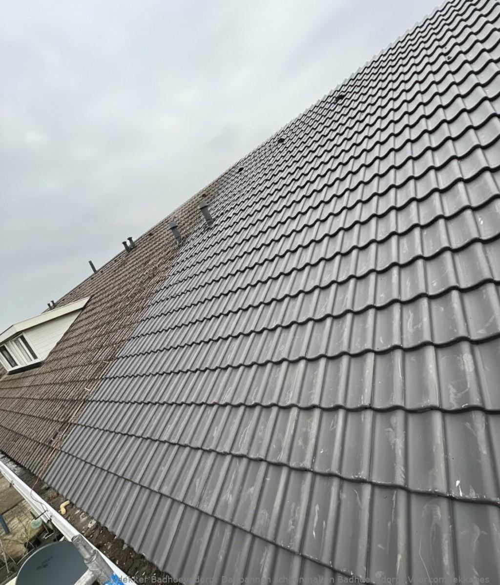 Dakpannen Schoonmaken Badhoevedorp