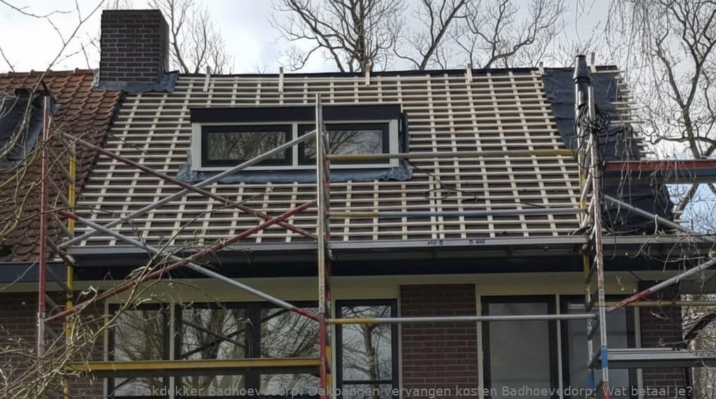 Dakpannen Vervangen Kosten Badhoevedorp