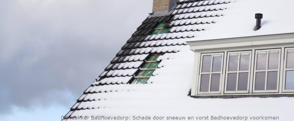 Schade Door Sneeuw En Vorst Badhoevedorp