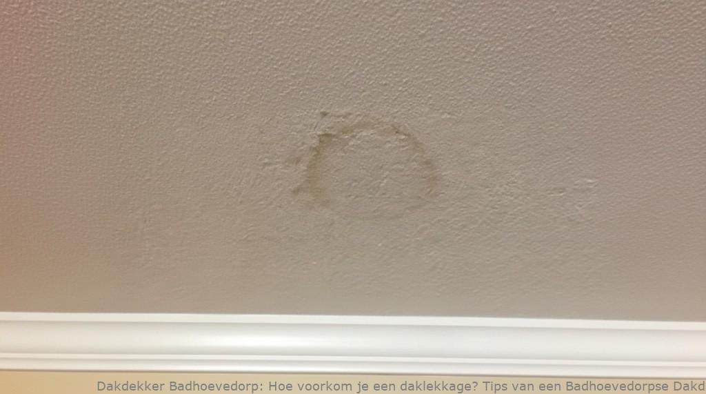 Voorkomen Daklekkage Badhoevedorp